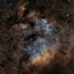 Meet your Posher, Thomas